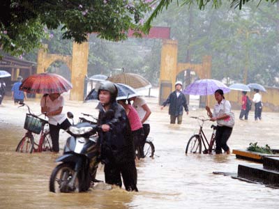 Bão số 3 gây đổ hàng ngàn ha lúa ảnh 1